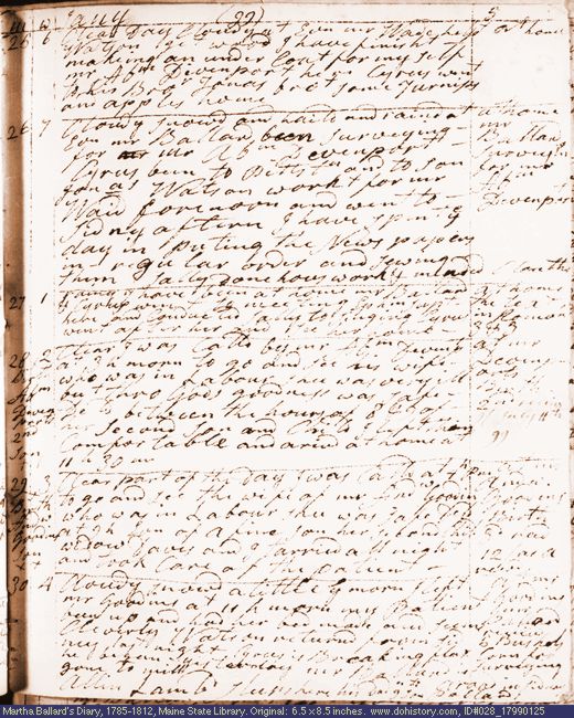 Jan. 25-30, 1799 diary page (image, 119K). Choose 'View Text' (at left) for faster download.
