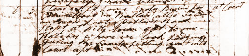 Diary entry for Jul. 6, 1790. View Text (link at top) to see text version.