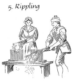 Step 5. Rippling